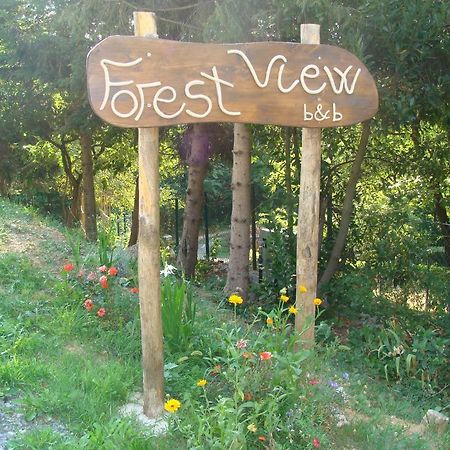 Forest View B&B Gavi Exterior photo